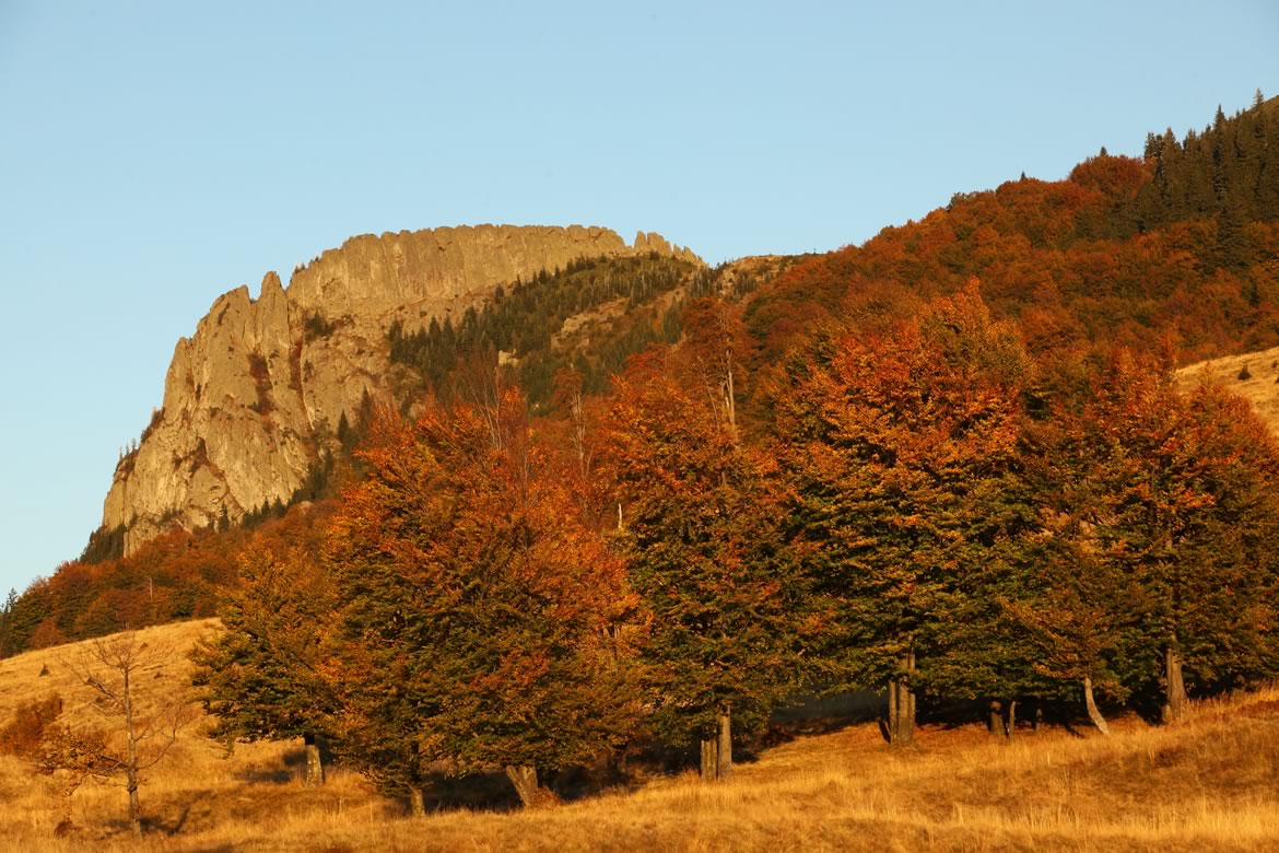 Creasta Cocoșului, Maramureș — fotografia 5