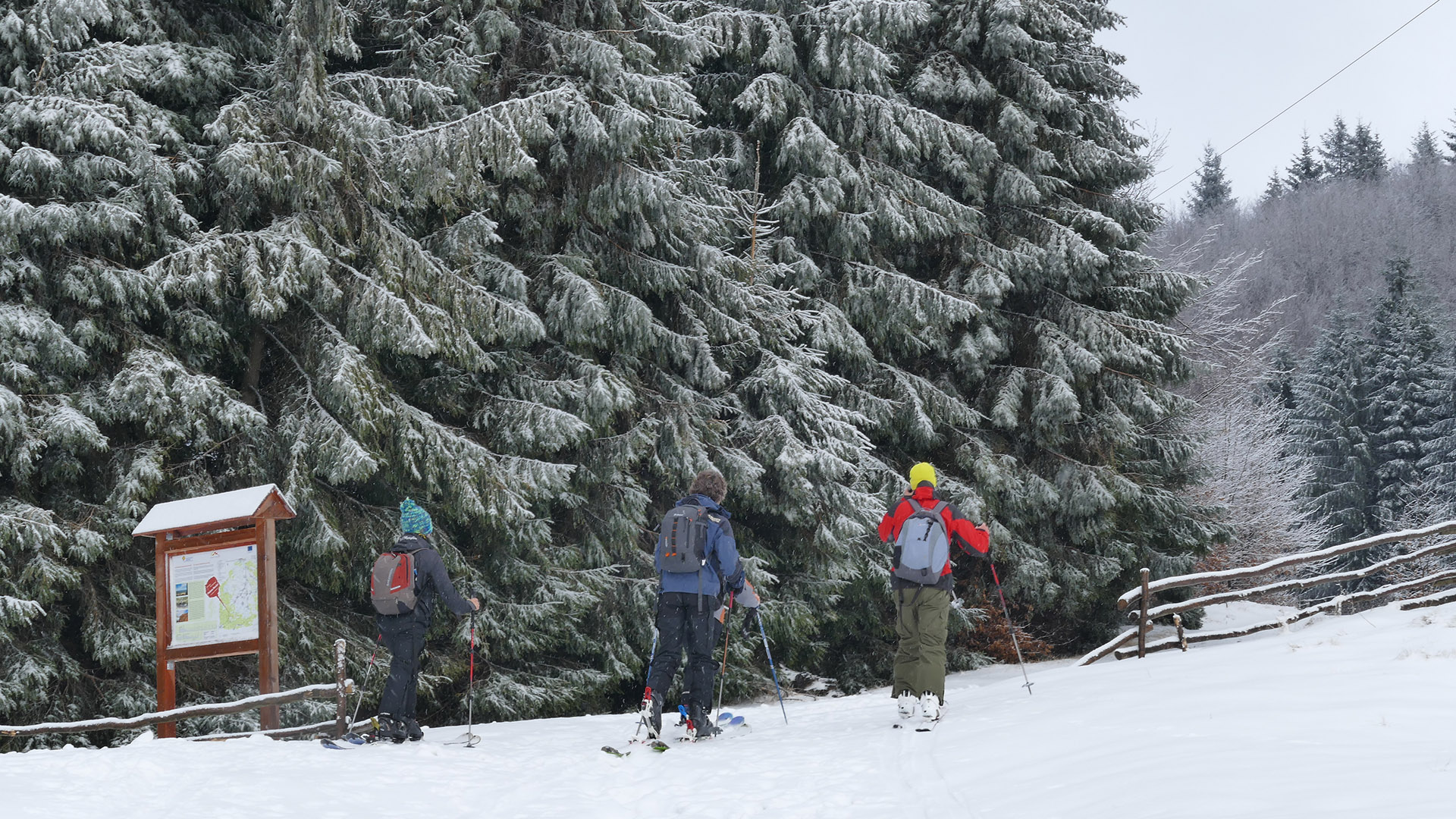 Schi de tură, Maramureș — fotografia 3